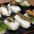 Суши с насекоми