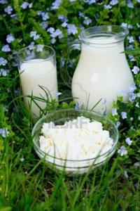 Натуралното прясно мляко - източник на здраве
