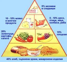 Пирамида на храните